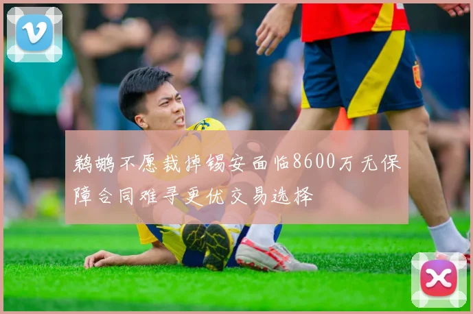 鹈鹕不愿裁掉锡安面临8600万无保障合同难寻更优交易选择