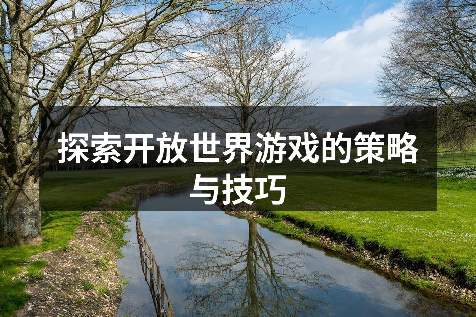 开放世界游戏的广阔视野