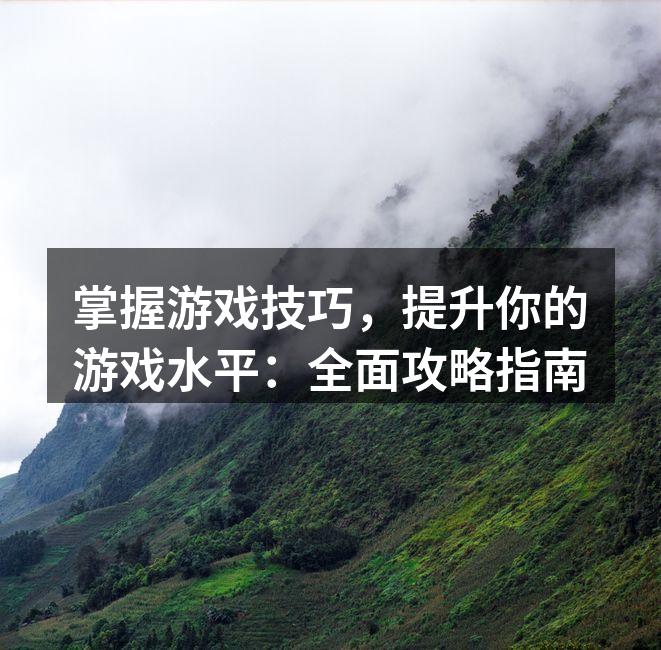 玩家在游戏中进行战斗